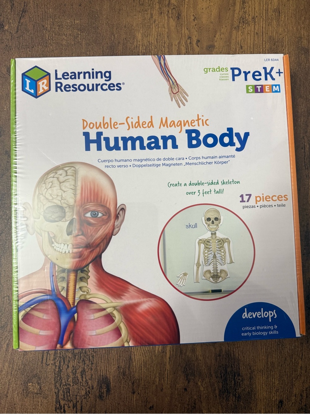 New Double-Sided Magnetic Human Body - Educational STEM Kit (PreK+)